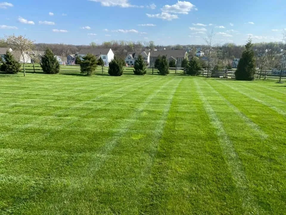 Expert yard cleanup service in Coatesville, PA by Links Lawn Care