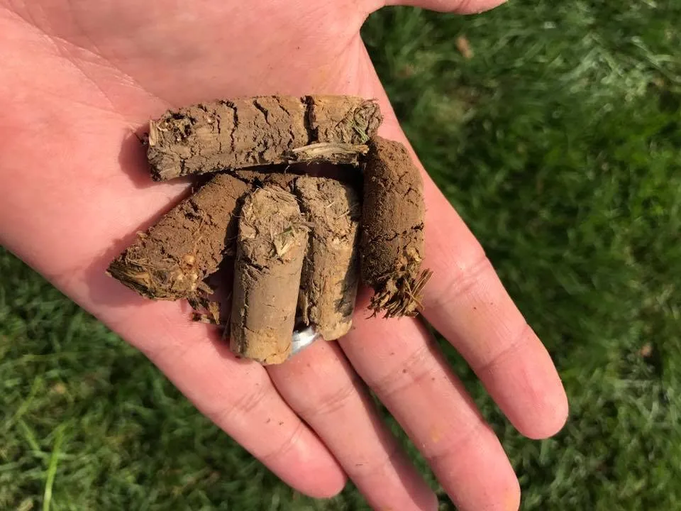 Professional landscape design for year-round maintenance across Columbia, IL - Linnemann Lawn Care & Landscaping