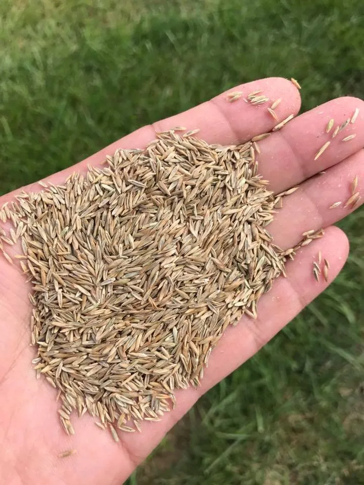 Professional outdoor landscaping for homes across Columbia, IL - Linnemann Lawn Care & Landscaping