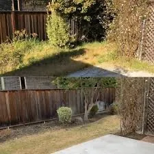 Professional residential landscaping experts serving Lubbock, TX - Linnenkugel and Son’s Landscaping