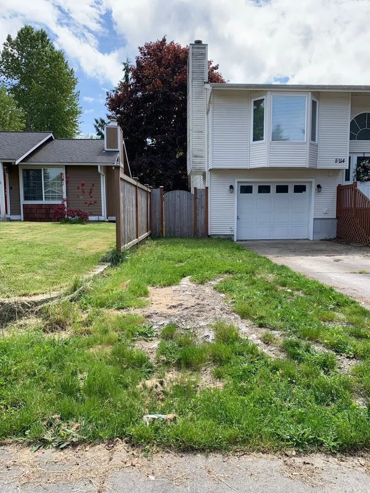 Trusted lawn care service for year-round maintenance across Marysville, WA - Lino's Landscapes