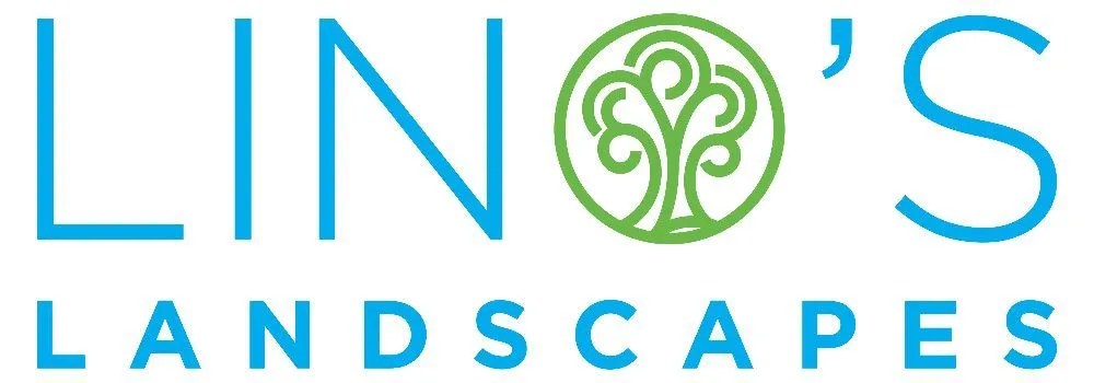 Local yard cleanup service in Marysville, WA by Lino's Landscapes