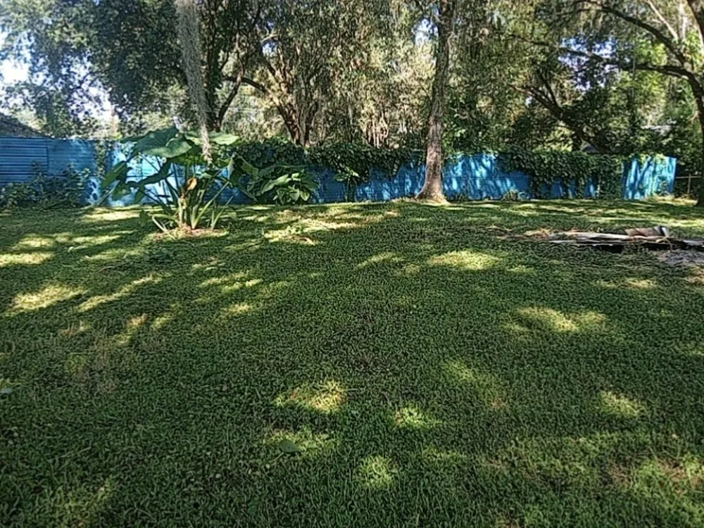 Top-rated lawn care service for beautiful yards across Lakeland, FL - Lino's Lawn Mowing