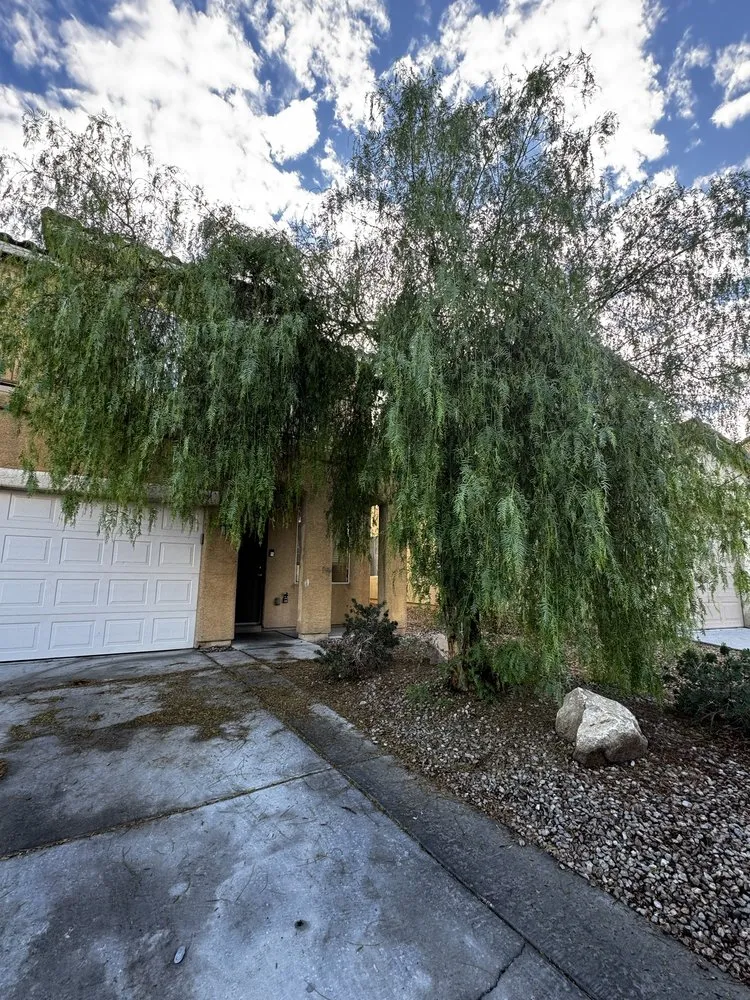 Trusted lawn care service in Sunrise Manor, NV by Linos Lawn Services