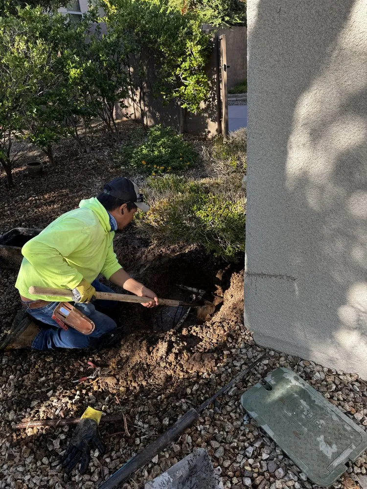 Top-rated yard cleanup service for beautiful yards across Sunrise Manor, NV - Linos Lawn Services