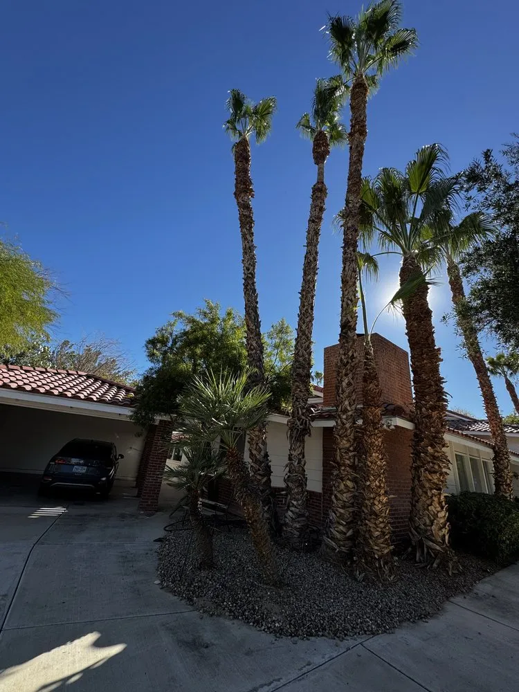 Affordable landscaping services in Sunrise Manor, NV - Linos Lawn Services