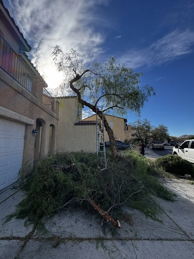 Expert lawn mowing service experts serving Sunrise Manor, NV - Linos Lawn Services