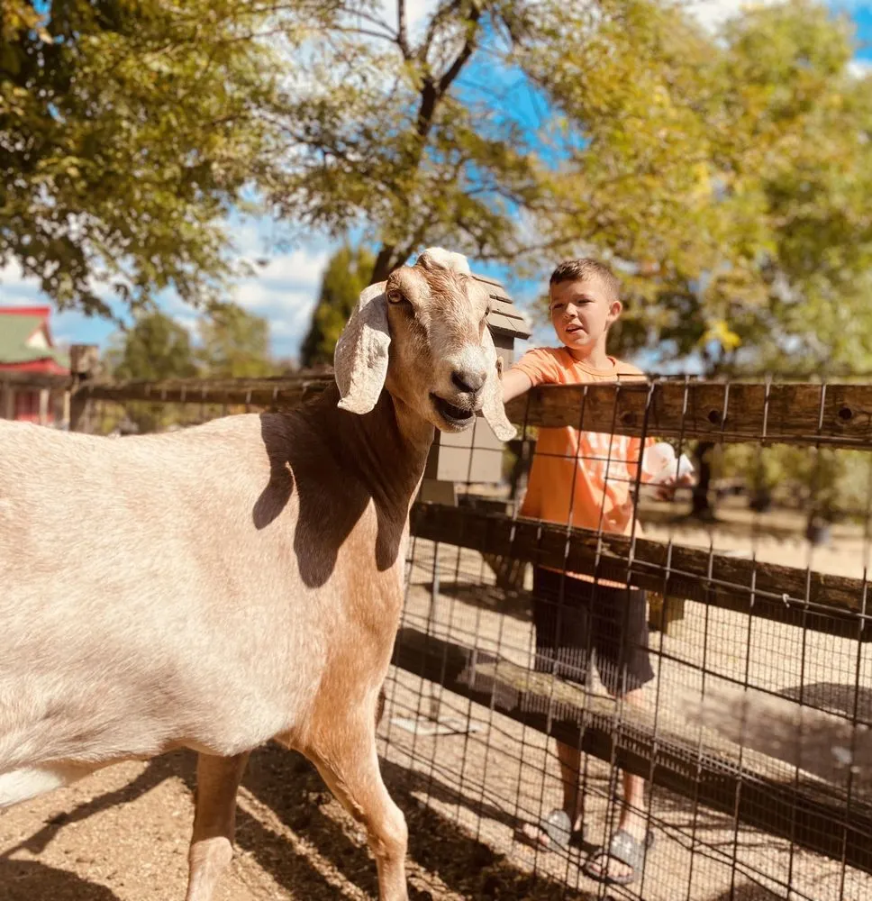 Expert yard maintenance for year-round maintenance in Elkhart, IN by Linton's Enchanted Gardens
