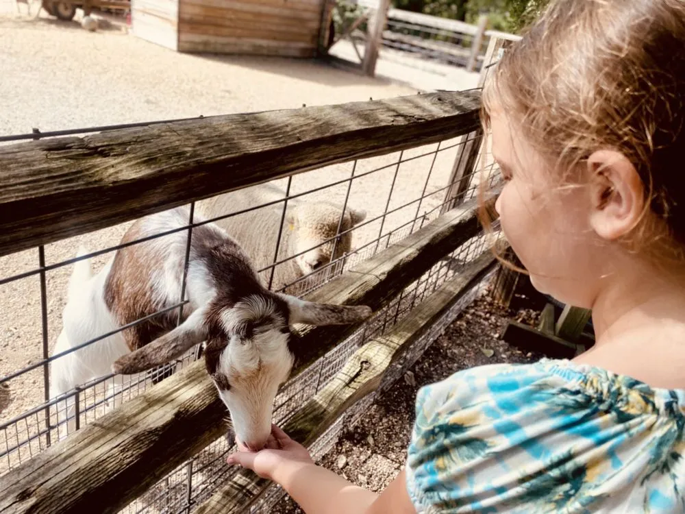 Expert lawn care service in Elkhart, IN by Linton's Enchanted Gardens