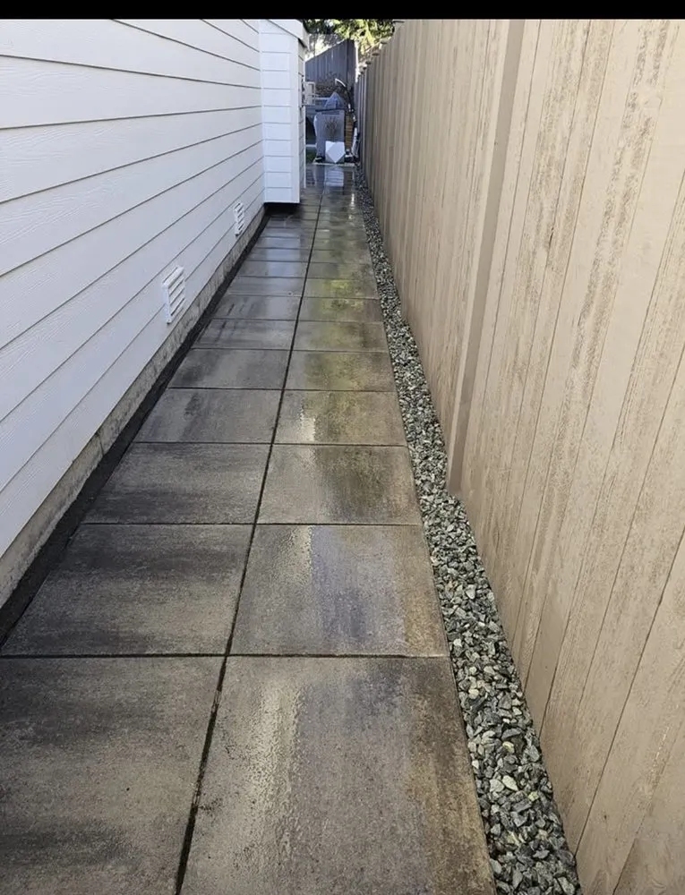 Trusted lawn care service experts serving Seattle, WA - Lio landscaping