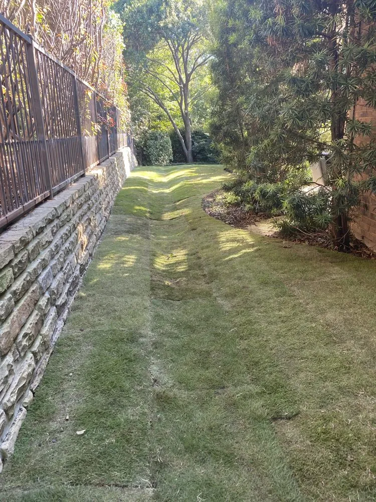 Local outdoor landscaping for beautiful yards across Parker, TX - Lion Crown Enterprise