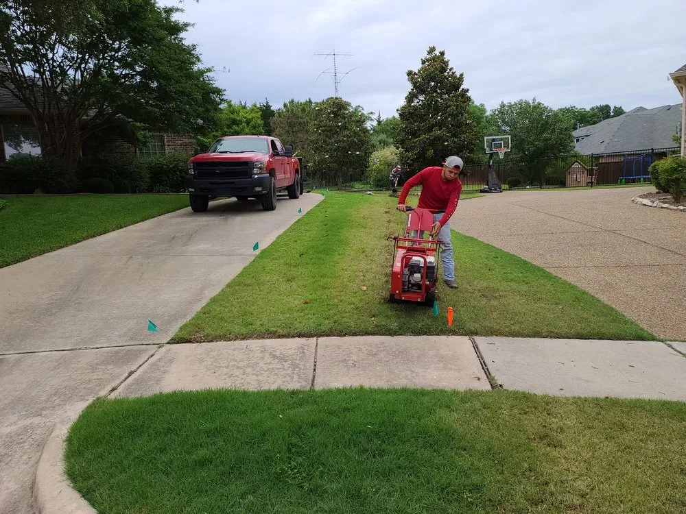 Expert yard cleanup service in Parker, TX by Lion Crown Enterprise