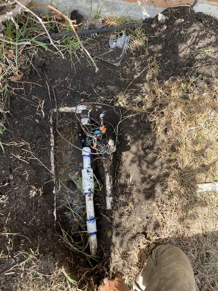 Top-rated yard cleanup service for homes in Parker, TX by Lion Crown Enterprise