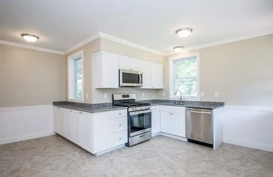 Lion Enterprises Logo