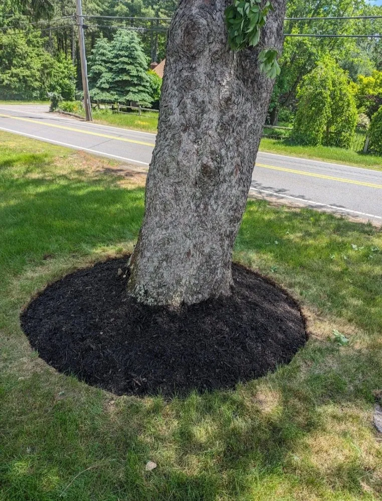 Local lawn mowing service experts serving Lunenburg, MA - Lion Head Lawn Care