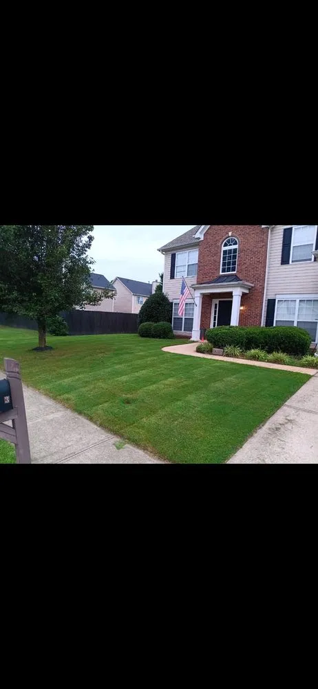 Affordable landscape design in Simpsonville, SC - Lion Heart Landscapes
