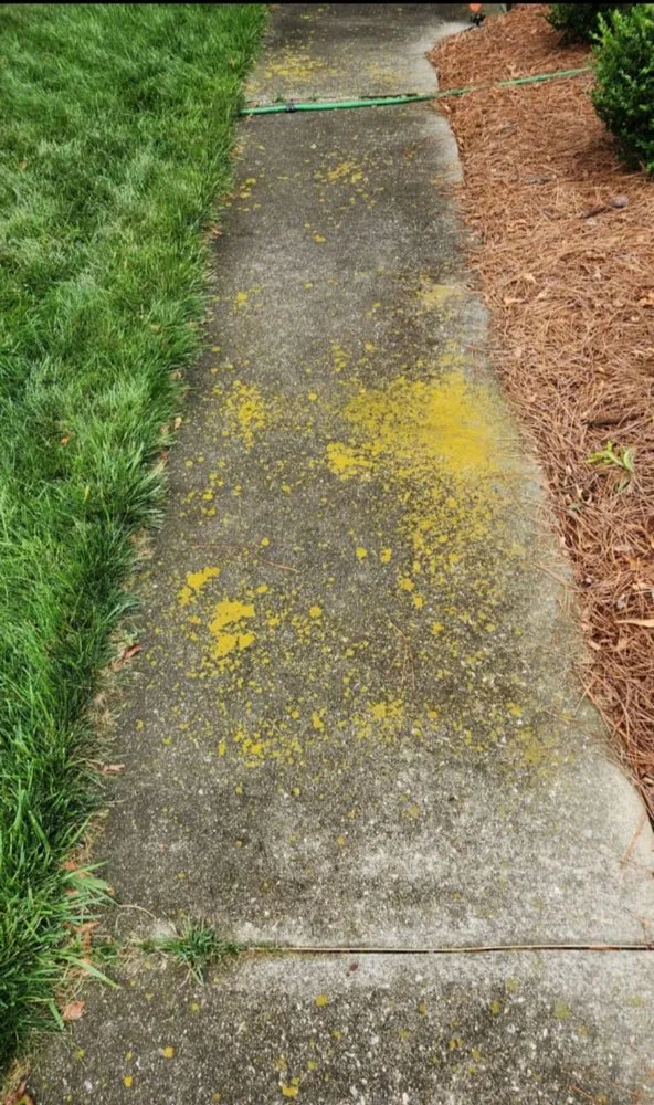 Affordable lawn care service in Simpsonville, SC by Lion Heart Landscapes