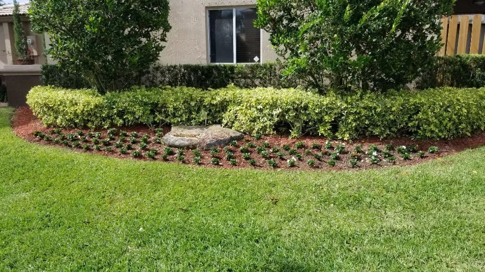 Affordable lawn mowing service for year-round maintenance in Leisure City, FL by Lion Heart