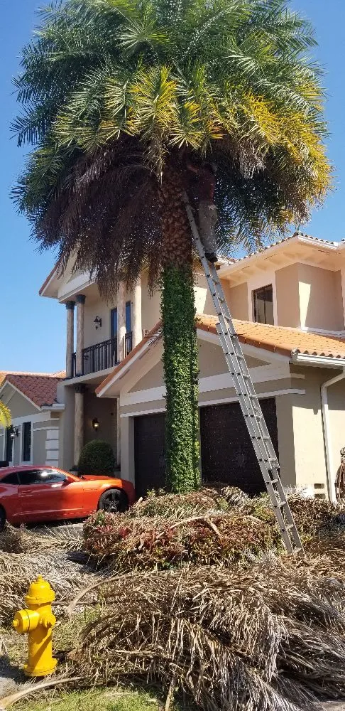 Custom residential landscaping in Leisure City, FL by Lion Heart