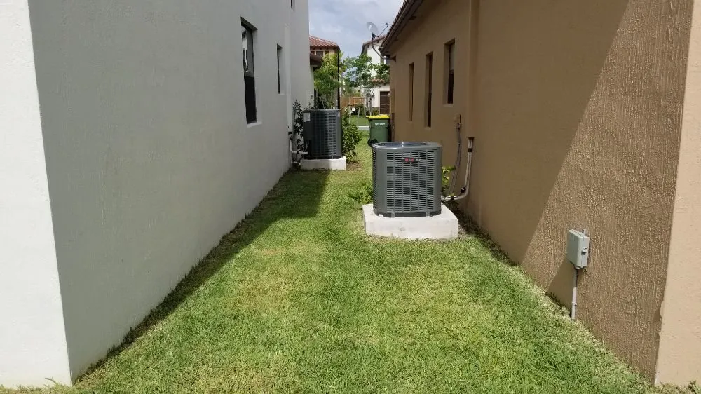 Affordable yard cleanup service in Leisure City, FL - Lion Heart