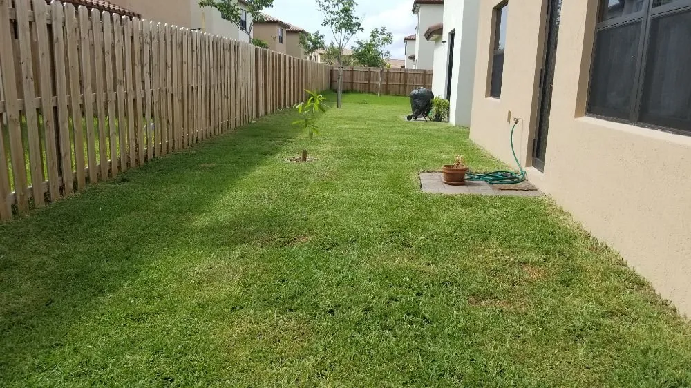 Local landscape installation in Leisure City, FL - Lion Heart