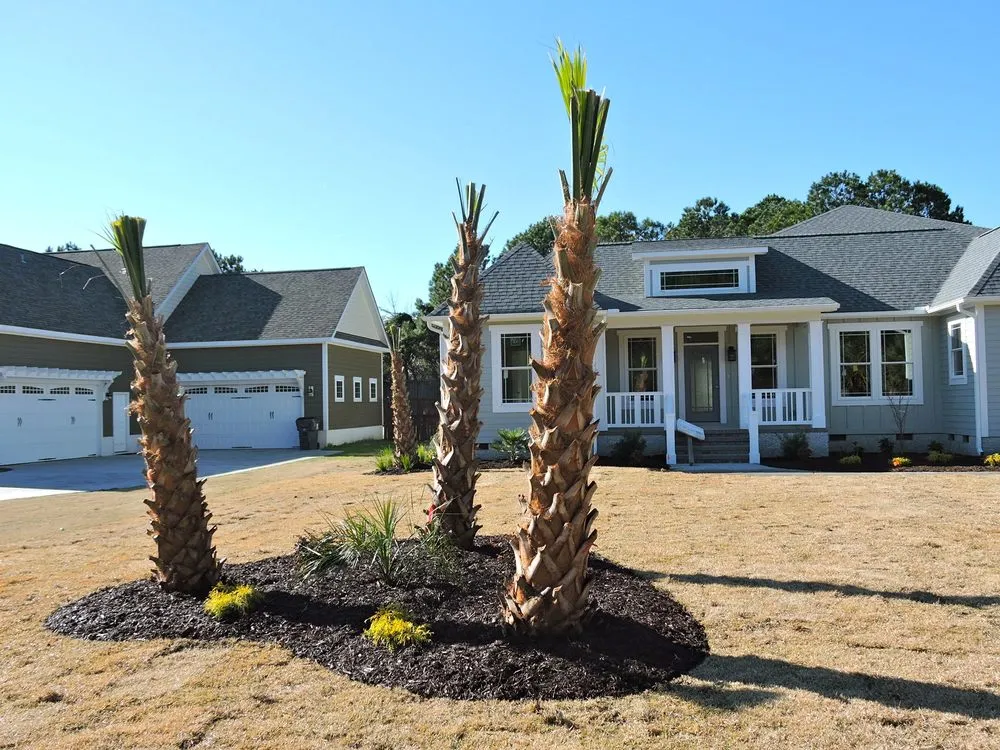 Affordable landscaping services experts serving Leland, NC - Lion In The Grass