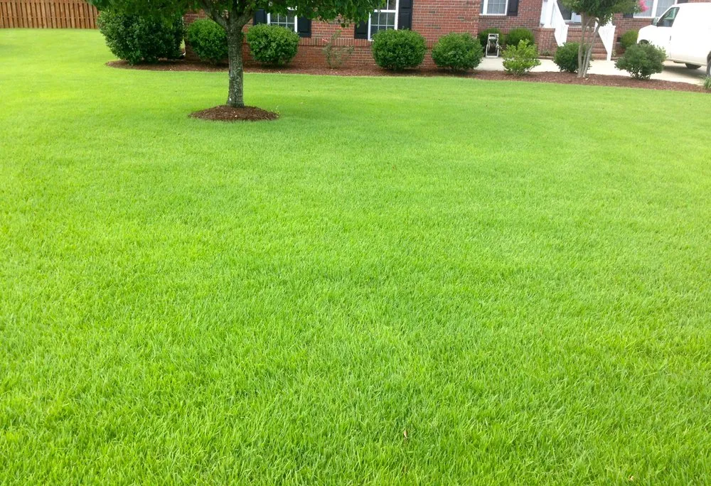 Custom landscape design in Leland, NC by Lion In The Grass
