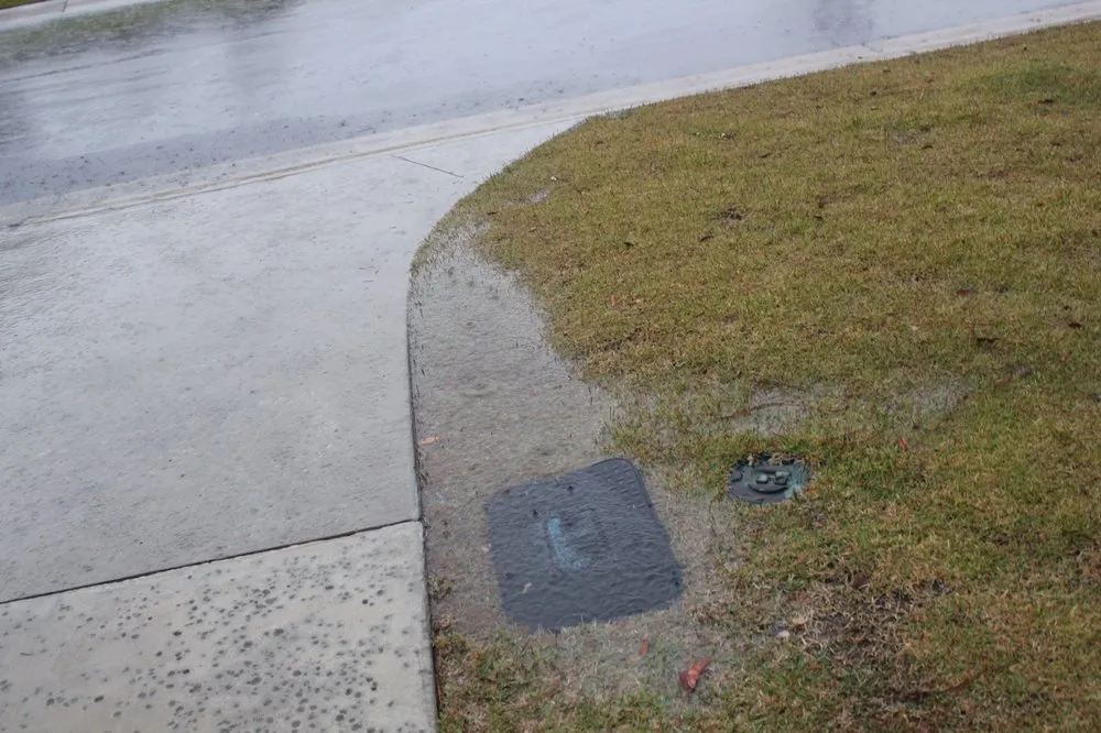 Top-rated yard maintenance in Leland, NC - Lion In The Grass