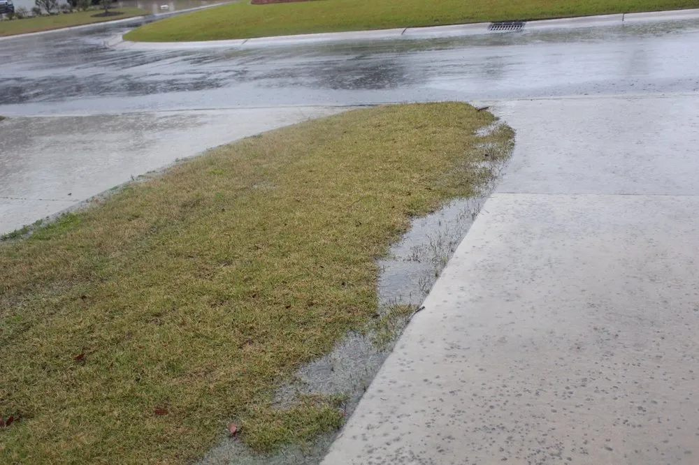 Local outdoor landscaping near you across Leland, NC - Lion In The Grass