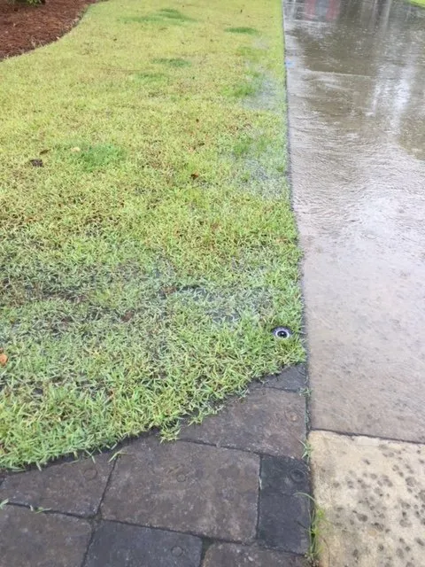 Reliable outdoor landscaping in Leland, NC by Lion In The Grass