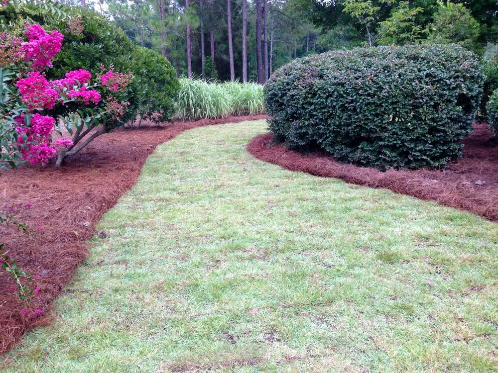 Professional residential landscaping in Leland, NC by Lion In The Grass