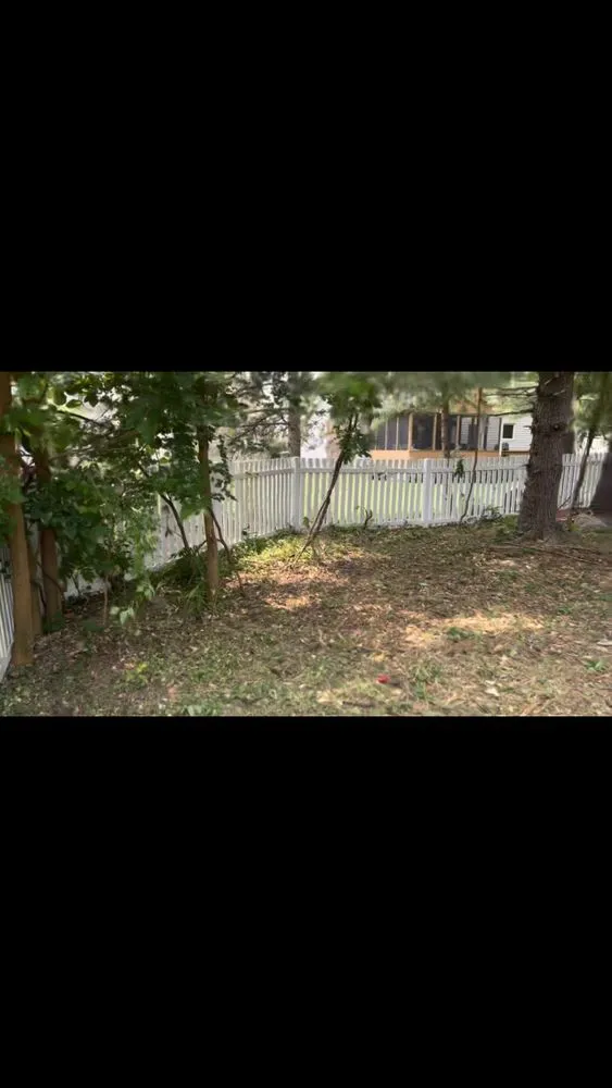 Affordable yard cleanup service with custom design across Columbus, OH - Lion King Hauling & Beyond