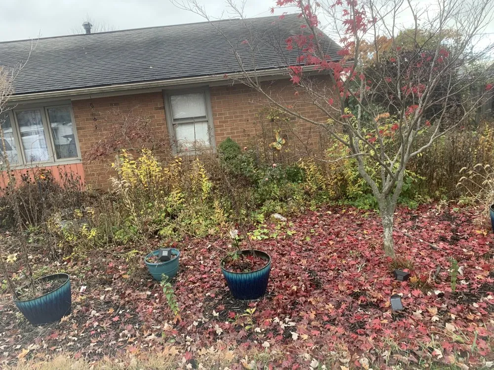 Affordable lawn mowing service in Columbus, OH - Lion King Hauling & Beyond