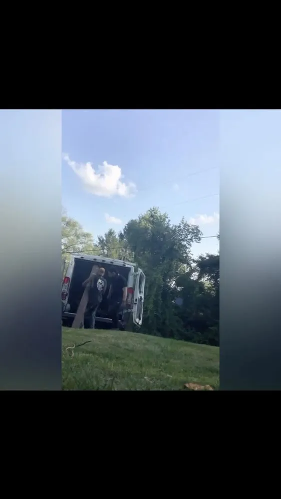 Professional yard maintenance for beautiful yards in Columbus, OH by Lion King Hauling & Beyond