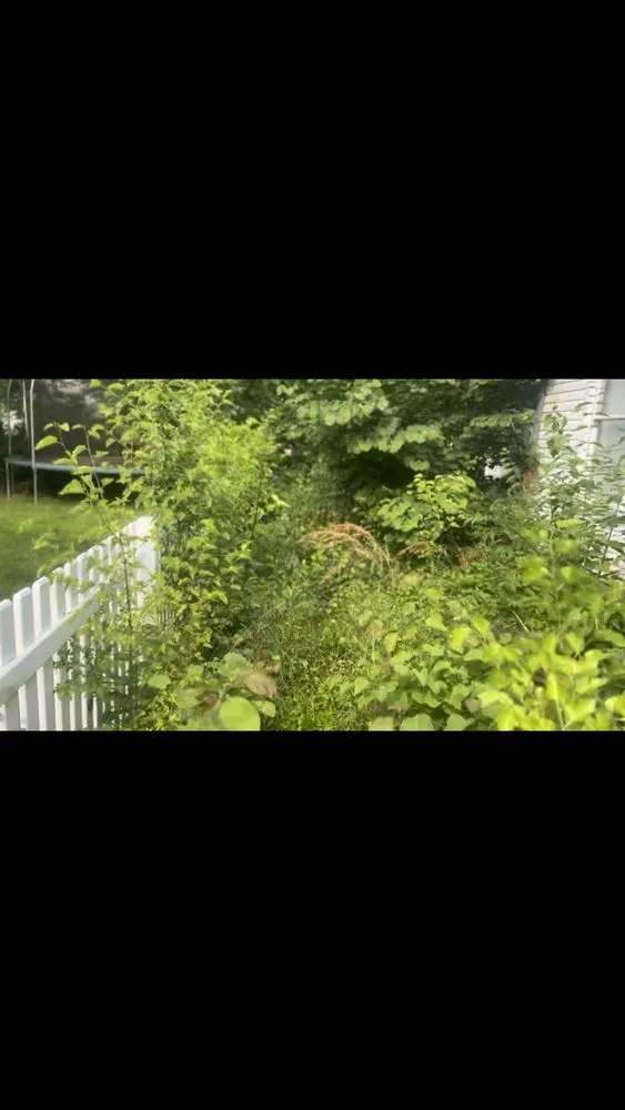 Custom garden landscaping in Columbus, OH - Lion King Hauling & Beyond