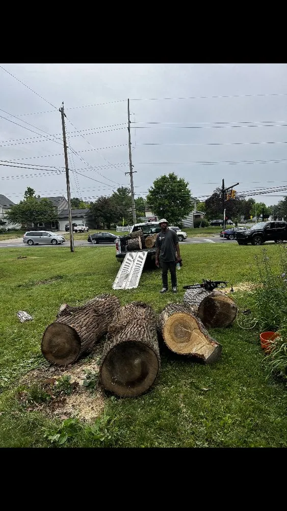 Trusted lawn care service for homes across Columbus, OH - Lion King Hauling & Beyond