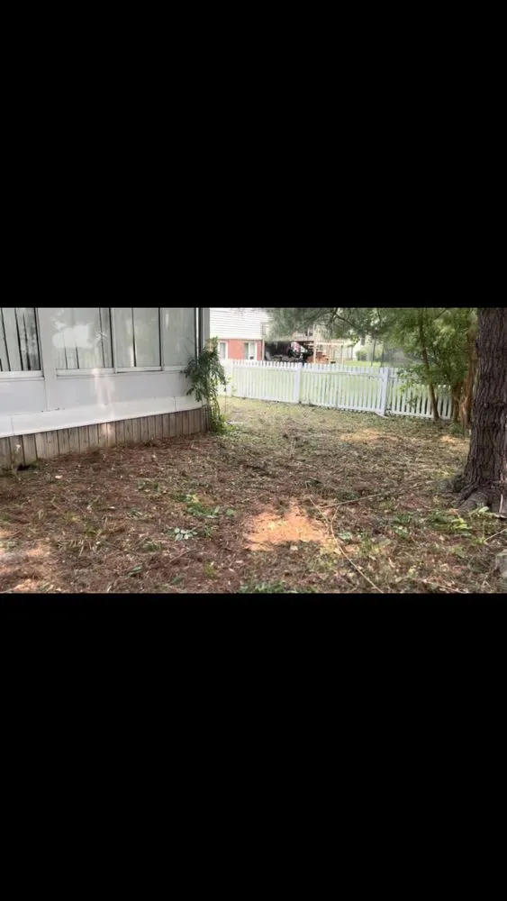 Trusted lawn care service experts serving Columbus, OH - Lion King Hauling & Beyond