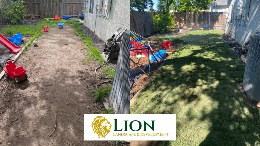Top-rated garden landscaping for beautiful yards across Sacramento, CA - Lion Landscape & Develpoment