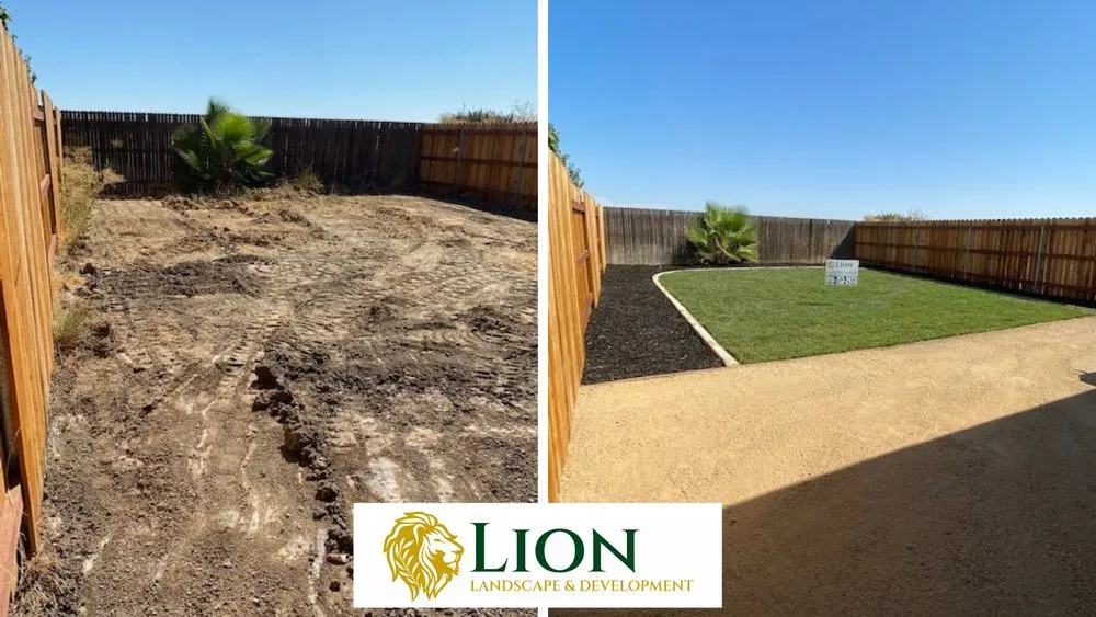 Custom yard maintenance with custom design across Sacramento, CA - Lion Landscape & Develpoment