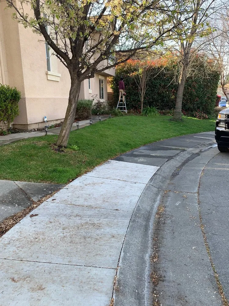 Local outdoor landscaping in Sacramento, CA - Lion Landscape & Develpoment