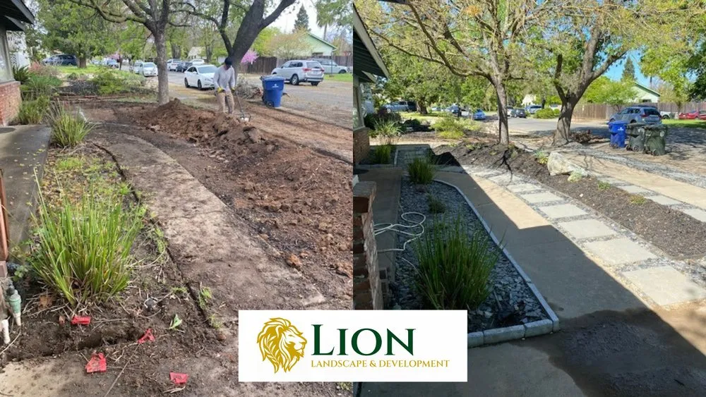 Top-rated yard cleanup service for outdoor upgrades across Sacramento, CA - Lion Landscape & Develpoment