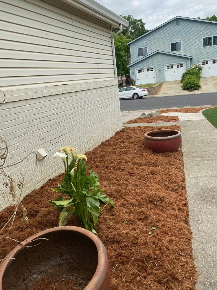 Local garden landscaping experts serving Sacramento, CA - Lion Landscape & Develpoment