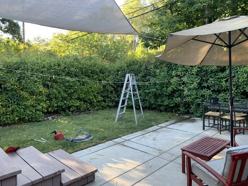 Affordable yard maintenance for homes in Sacramento, CA by Lion Landscape & Develpoment