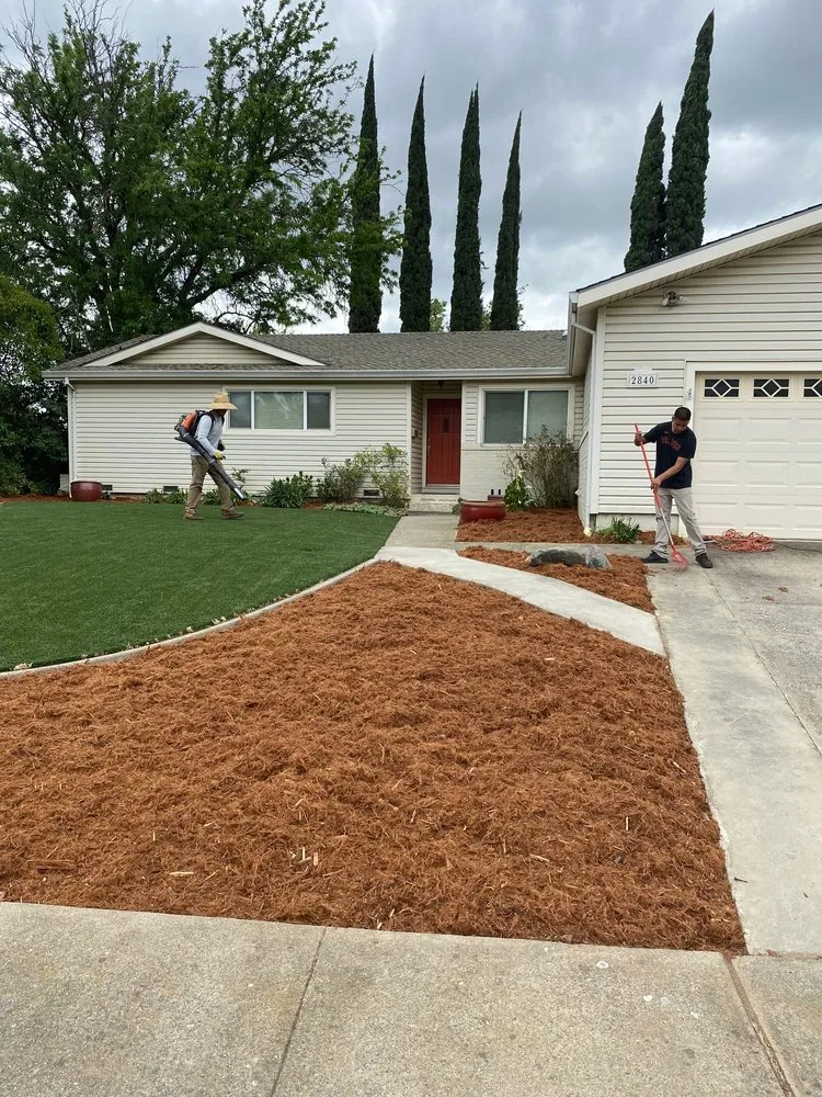 Top-rated garden landscaping for outdoor upgrades across Sacramento, CA - Lion Landscape & Develpoment