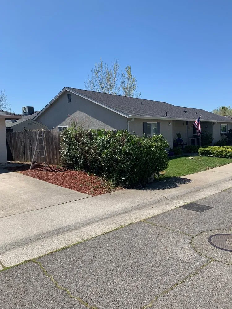 Custom lawn care service in Sacramento, CA by Lion Landscape & Develpoment