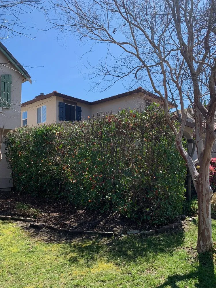 Trusted garden landscaping in Sacramento, CA by Lion Landscape & Develpoment