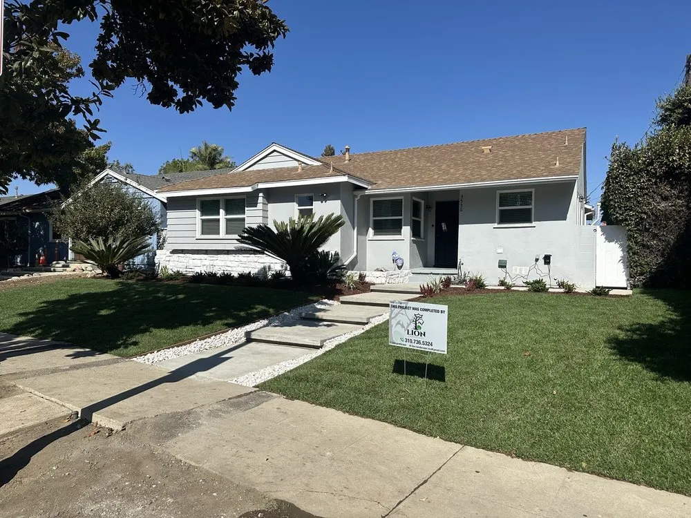 Trusted yard maintenance in Los Angeles, CA by Lion Landscape