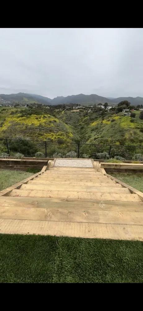 Top-rated yard cleanup service in Los Angeles, CA - Lion Landscape