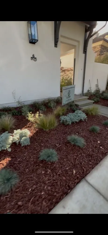Professional residential landscaping in Los Angeles, CA - Lion Landscape