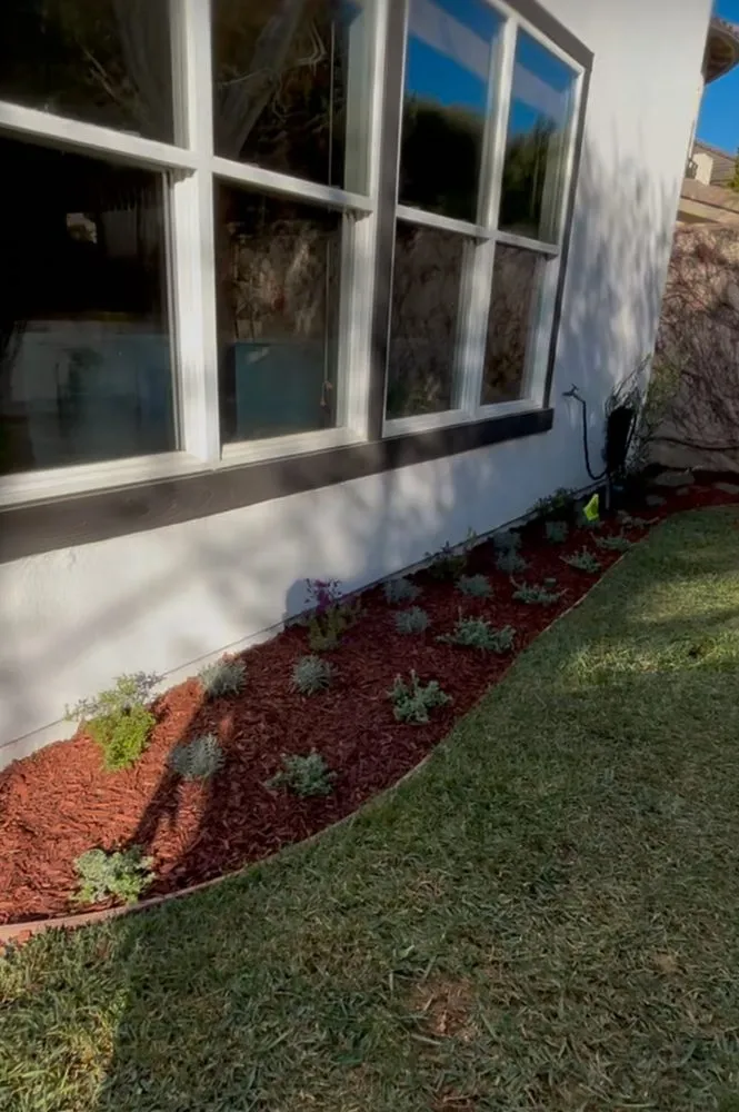 Reliable garden landscaping for outdoor upgrades across Los Angeles, CA - Lion Landscape